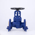 DIN Globe Valve J41H